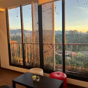 Stayh - Terrum C Guatemala
