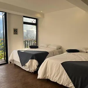 Stayh - Terrum D Guatemala